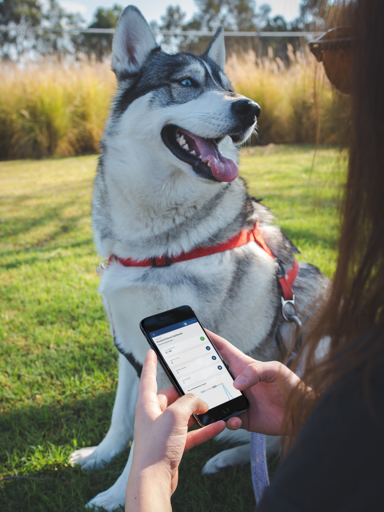 real estate referral agent with her dog